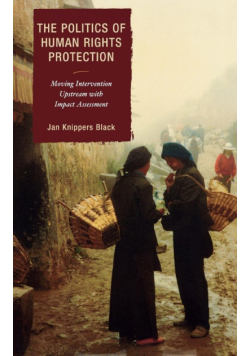The Politics of Human Rights Protection