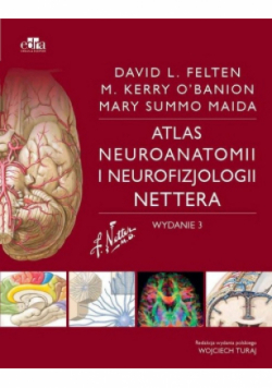 Atlas neuroanatomii i neurofizjologii Nettera