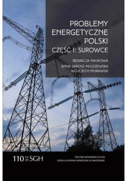 Problemy energetyczne Polski. Część I. Surowce