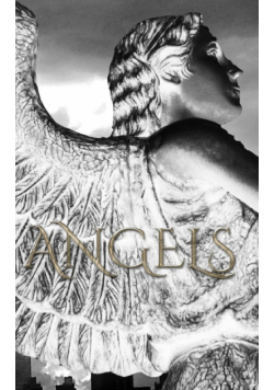 Angel writing Journal