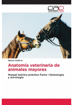 Anatomía veterinaria de animales mayores