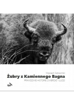 Żubry z kamiennego bagna