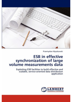 Esb in Effective Synchronization of Large Volume Measurements Data
