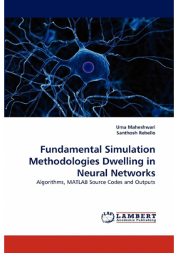 Fundamental Simulation Methodologies Dwelling in Neural Networks