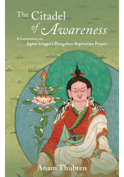 The Citadel of Awareness