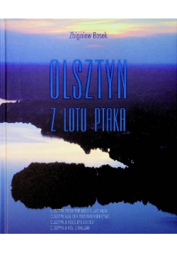 Olsztyn z lotu ptaka