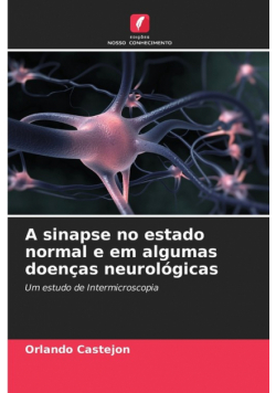 A sinapse no estado normal e em algumas doenças neurológicas