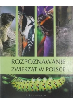 Rozpoznawanie zwierząt w Polsce