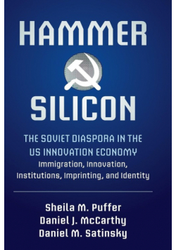 Hammer and Silicon