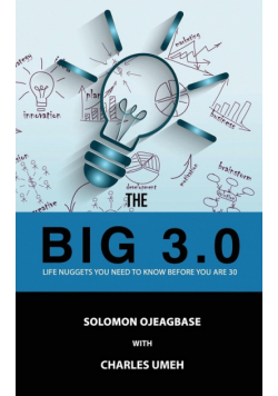 The BIG 3.0