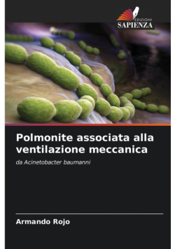 Polmonite associata alla ventilazione meccanica