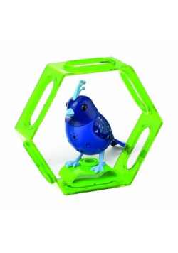 DigiBirds 3 z ramką Apollo