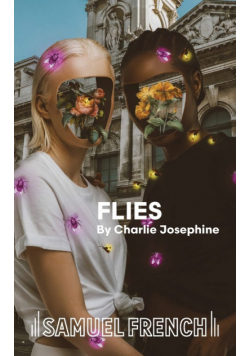 Flies