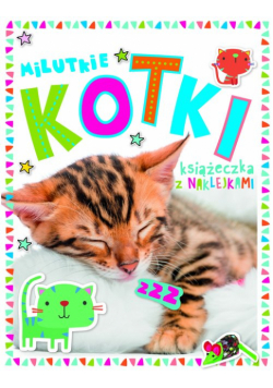 Milutkie kotki Książeczka z 250 naklejkami