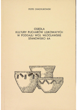Osiedla kultury pucharów lejkowatych w Podgaju woj Wrocławskie Stanowisko 6A