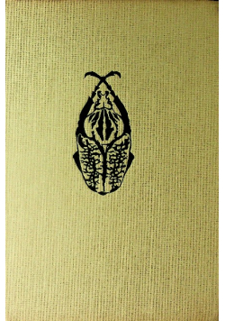 Wielki atlas owadów