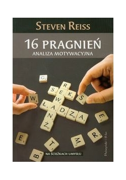 16 Pragnień Analiza motywacyjna