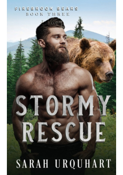 Stormy Rescue