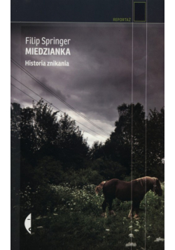 Miedzianka