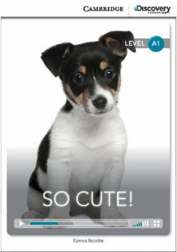 Bourke Kenna - So Cute! Beginning Book with Online Access