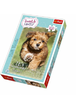 Puzzle Zabawa latem 100