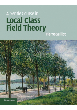 A Gentle Course in Local Class Field Theory