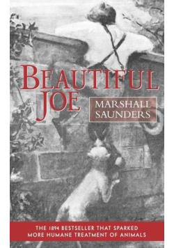 Beautiful Joe (Paperback)