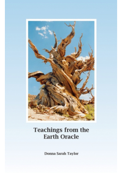 Teachings from the Earth Oracle