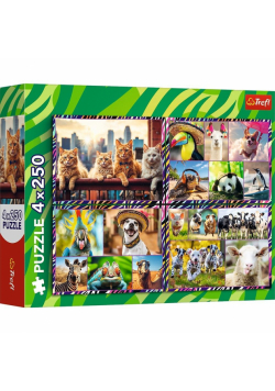 Puzzle 4x250 Zabawne zwierzaki 13313