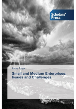 Small and Medium Enterprises