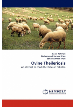 Ovine Theileriosis