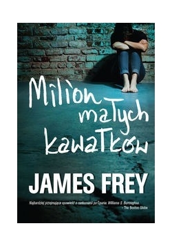 Milion małych kawałków, NOWA
