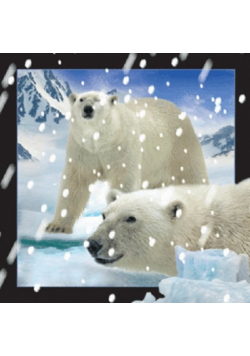 Magnes 3D - Niedźwiedzie polarne w śniegu