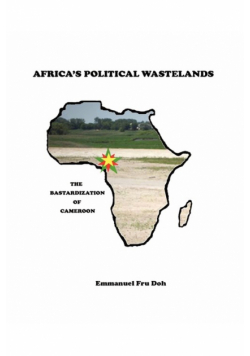 Africa's Political Wastelands