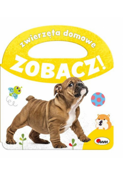 Zwierzęta domowe. Zobacz!