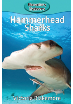Hammerhead Sharks
