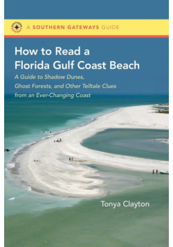 How to Read a Florida Gulf Coast Beach