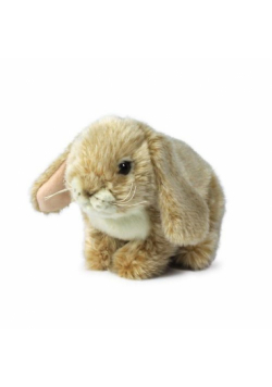 Królik kremowy 25cm