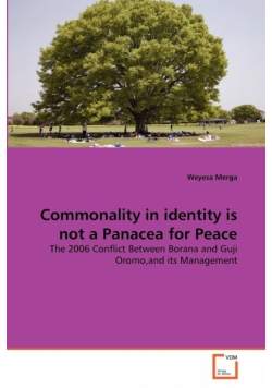 Commonality in identity is not a Panacea for Peace