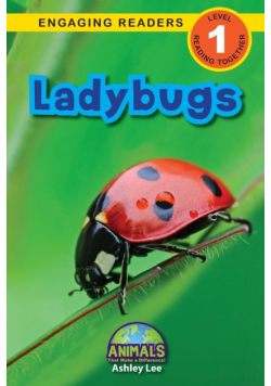 Ladybugs