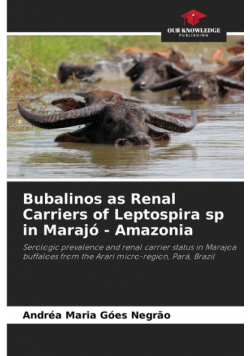 Bubalinos as Renal Carriers of Leptospira sp in Marajó - Amazonia