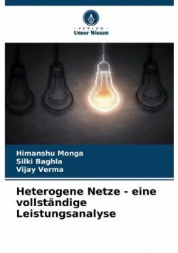 Heterogene Netze - eine vollständige Leistungsanalyse