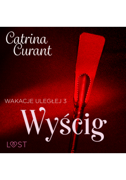 Wakacje uległej 3: Wyścig – seria erotyczna BDSM