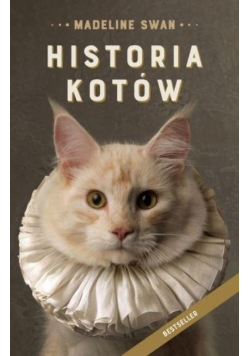 Historia kotów