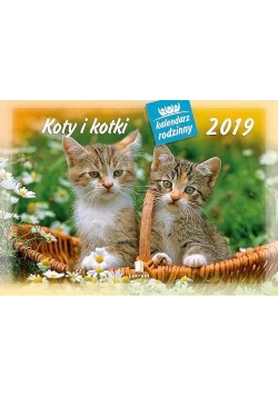 Kalendarz 2019 Rodzinny Koty i kotki WL9