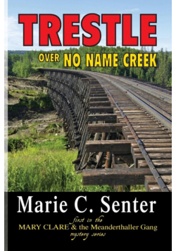Trestle Over No Name Creek