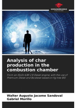 Analysis of char production in the combustion chamber
