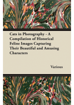 Cats in Photography - A Compilation of Historical Feline Images Capturing Their Beautiful and Amusing Characters