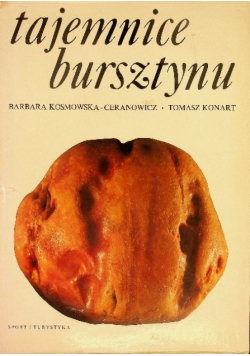 Tajemnice bursztynu