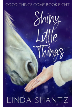 Shiny Little Things